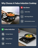 FEDUS Elema BIS Certified Induction Stoves, 1800W induction stove With Auto Pot Detection, Auto-Shut-Off & Large 8” Heating Coil Electric, Shatter-Proof Ceramic Glass Surface induction Cooktop chulha FEDUS