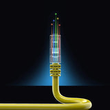 Fedus Cat6 Ethernet Cable, High Speed 550Mhz 10 Gigabit Speed Utp Lan Cable, Network Cable Internet Cable Rj45 Cable Lan Wire, 6 Wires For Laptop, Pc, Television, Router, Modem-Yellow Colour