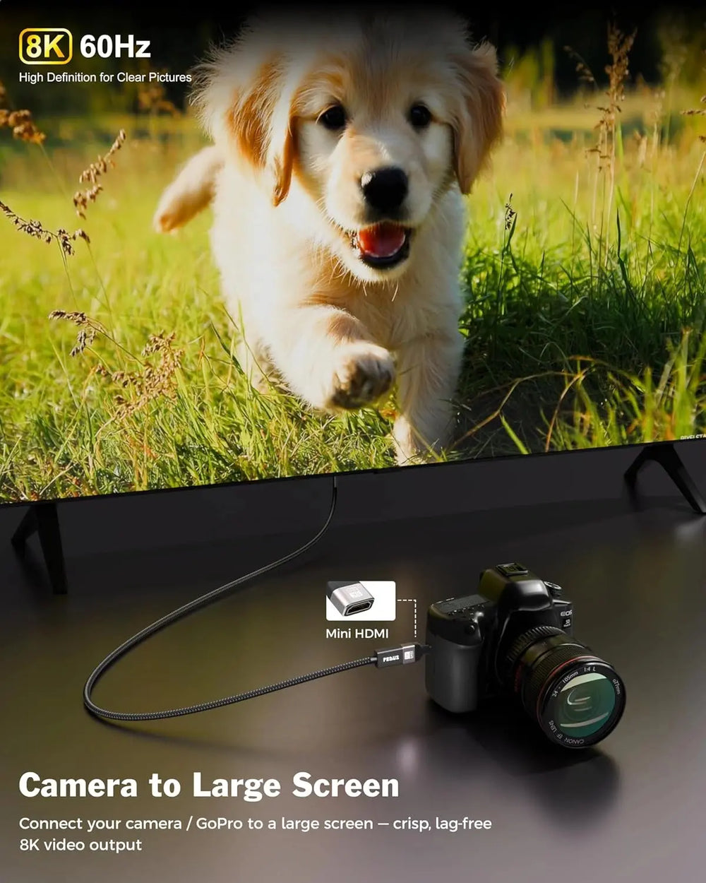 FEDUS EIKON Mini HDMI to Standard HDMI Adapter 8K@60Hz, 4K@144Hz, 2K@240Hz, Male to Female Converter, 48Gbps, support HDR, 3D for DSLR Camera, Camcorder, Laptop, Pi Zero, Monitor, Desktop, Projector FEDUS